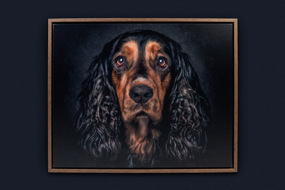 Canvas Tray Frame Loxley Colour